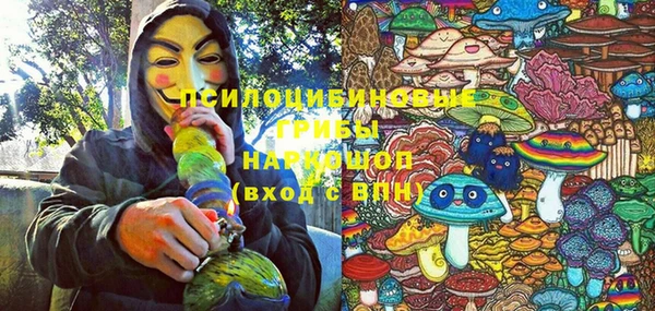 спайс Алексин