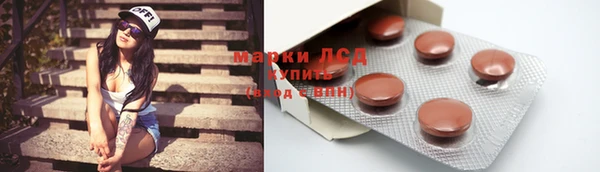 apvp Алзамай